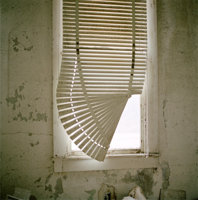 blinds1.jpg