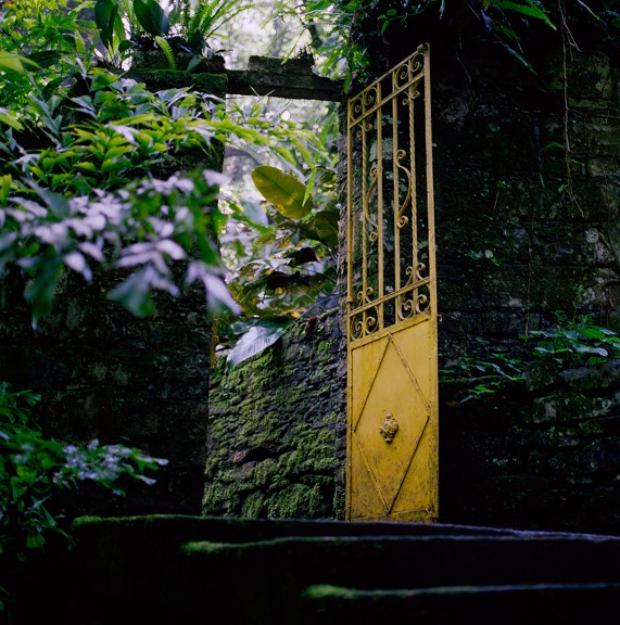 yellowdoorsmall.jpg
