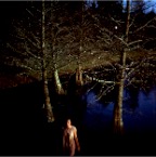 Pond