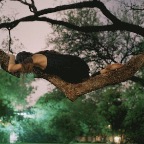 hammock