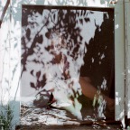 Shadows2