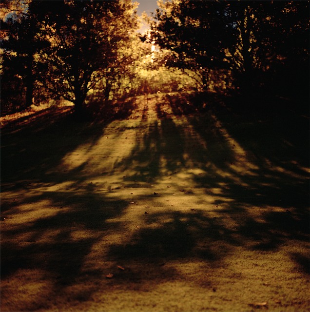 park_light.jpg