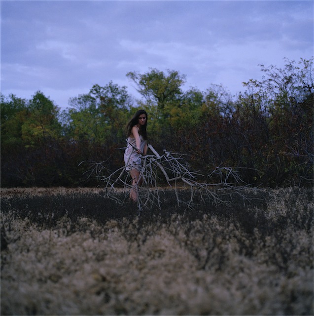 TreeCollector02.jpg