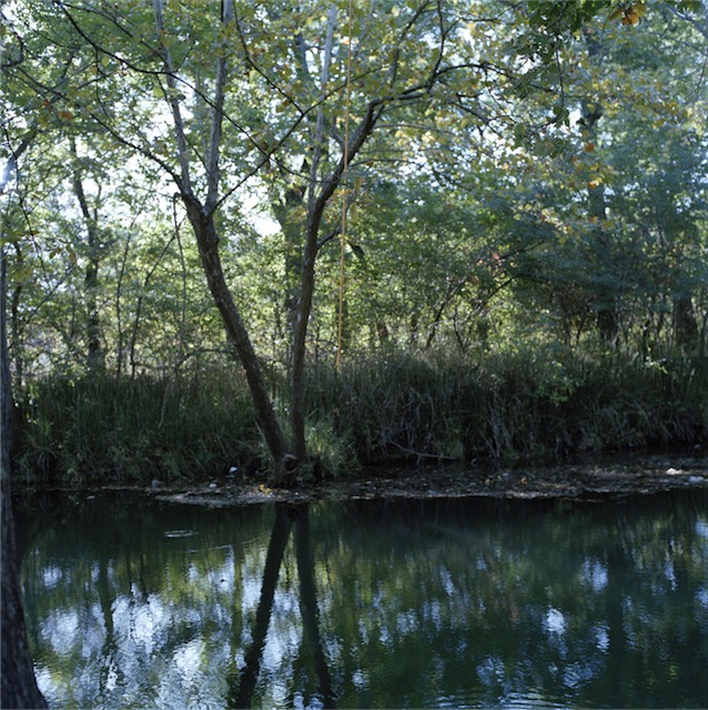 honeycreek8.jpg