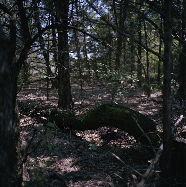 remnants1.gif