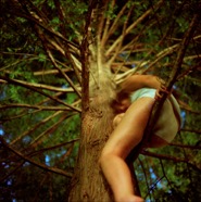 Tree_Climbing.jpg
