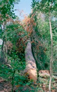 Munisteri_Waiting-27