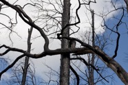 Munisteri_Waiting-6