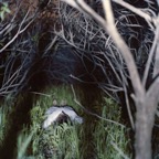 Refuge