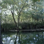 honey_creek_swing