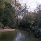RopeSwing